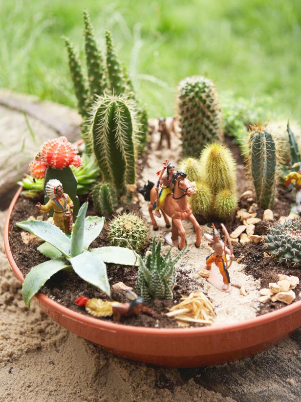 How to Start a Cactus and Succulent Garden at Home